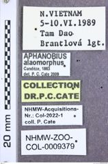 Etikett zu Melanoxanthus arimotoi (Schimmel, 2004)